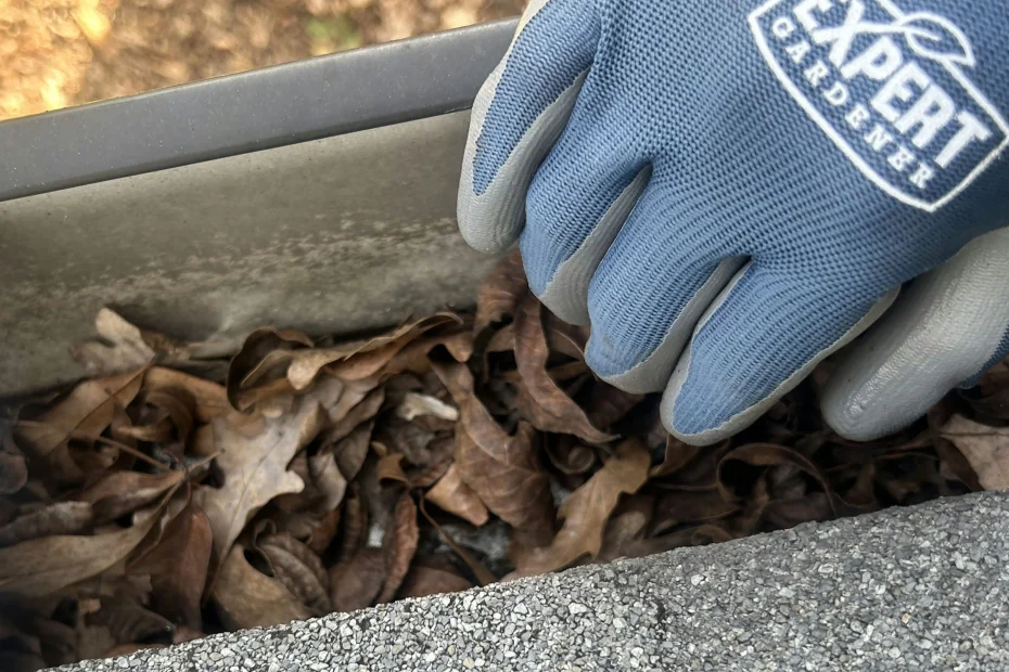 Gutter Cleaning Belle Meade, TN